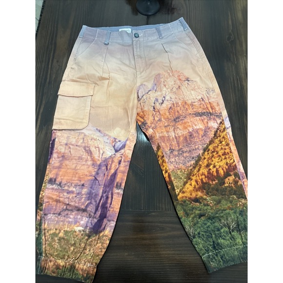 Pilcro Pants - Anthropologie Pilcro RARE PHOTO SAMPLE NEW Sz 30 Joggers Rocky Mountain